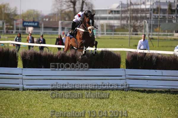 ET0Q0909 prot